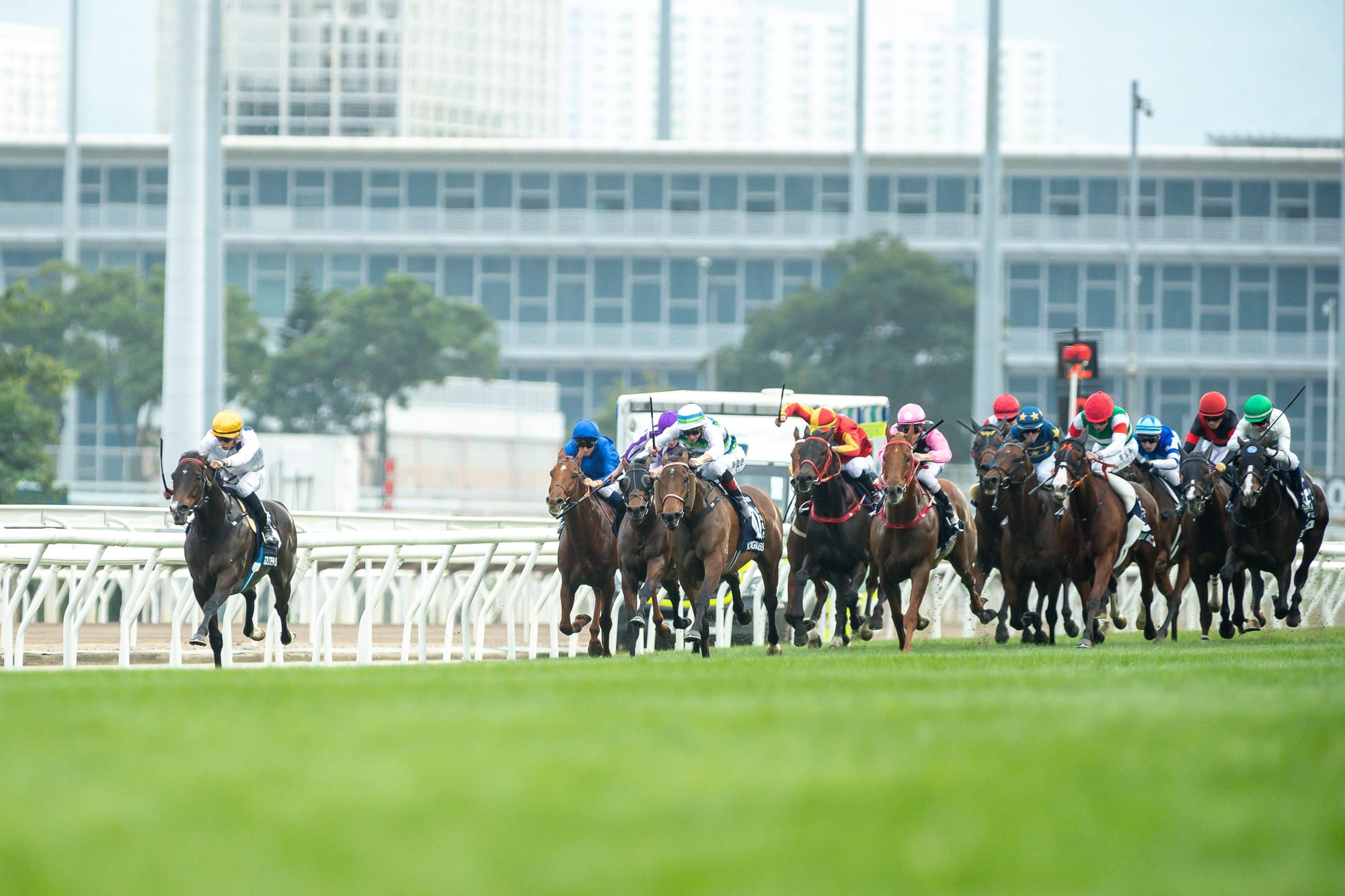 Australian-bred HK star Golden Sixty