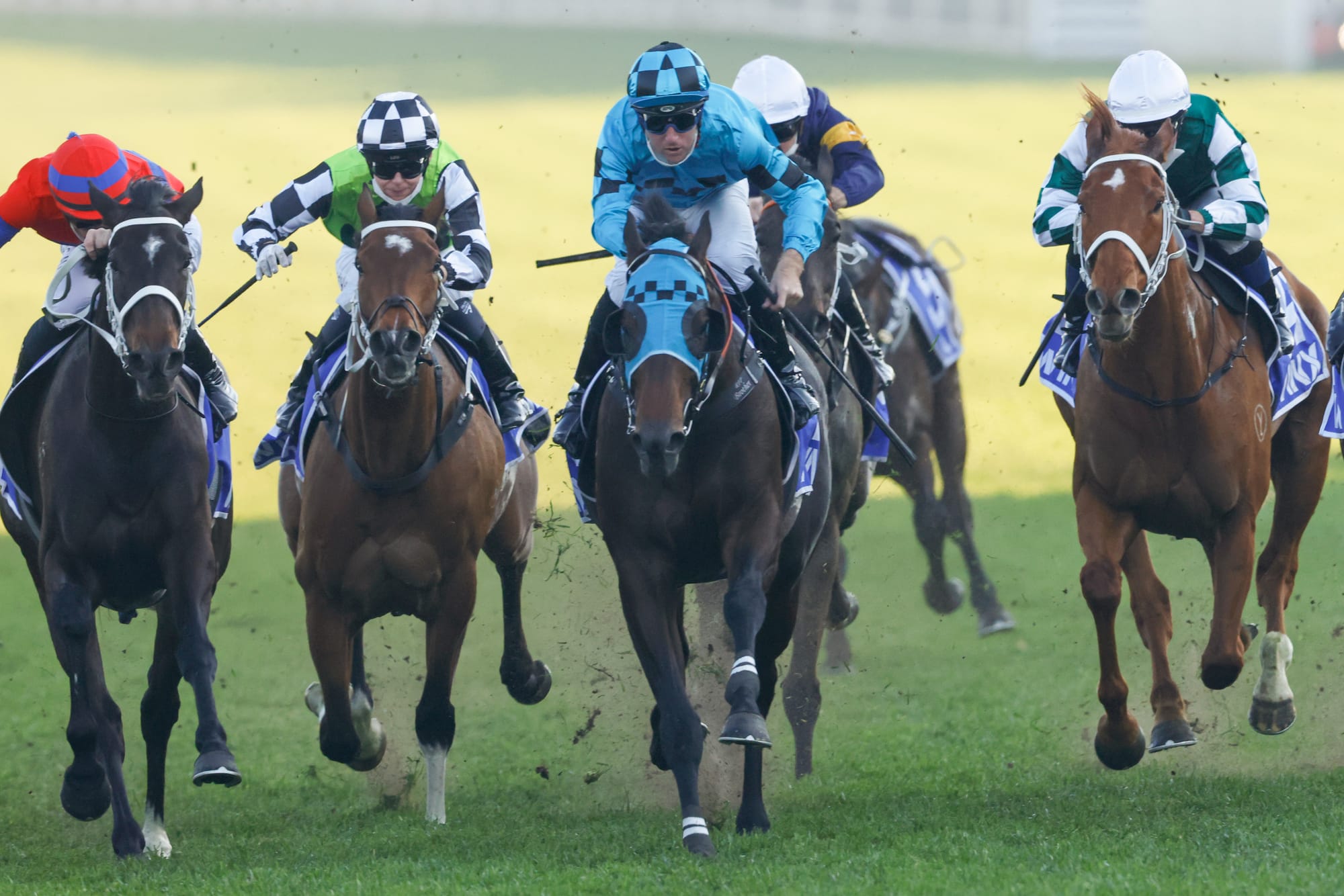 Mo'unga (centre) winning the Winx Stakes.