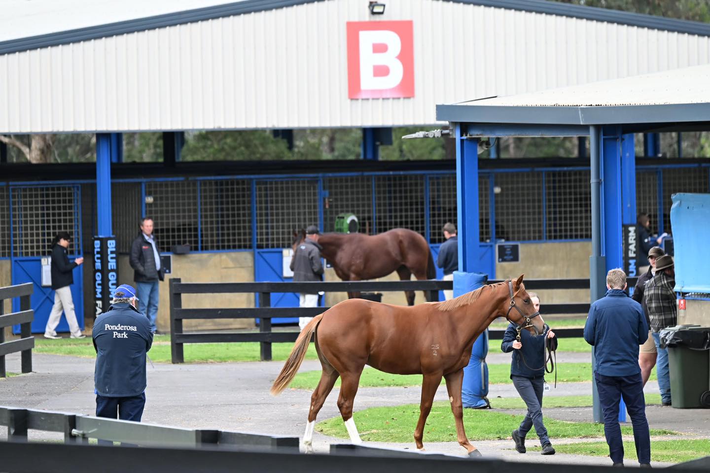 Inglis Melbourne Gold Sale