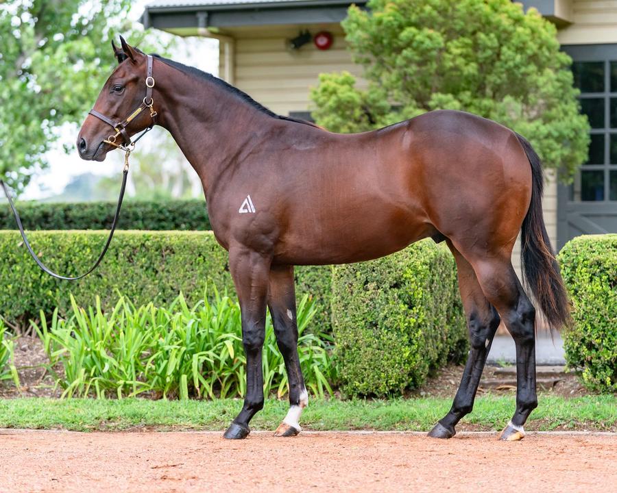 Exceed And Excel colt out of Sanity