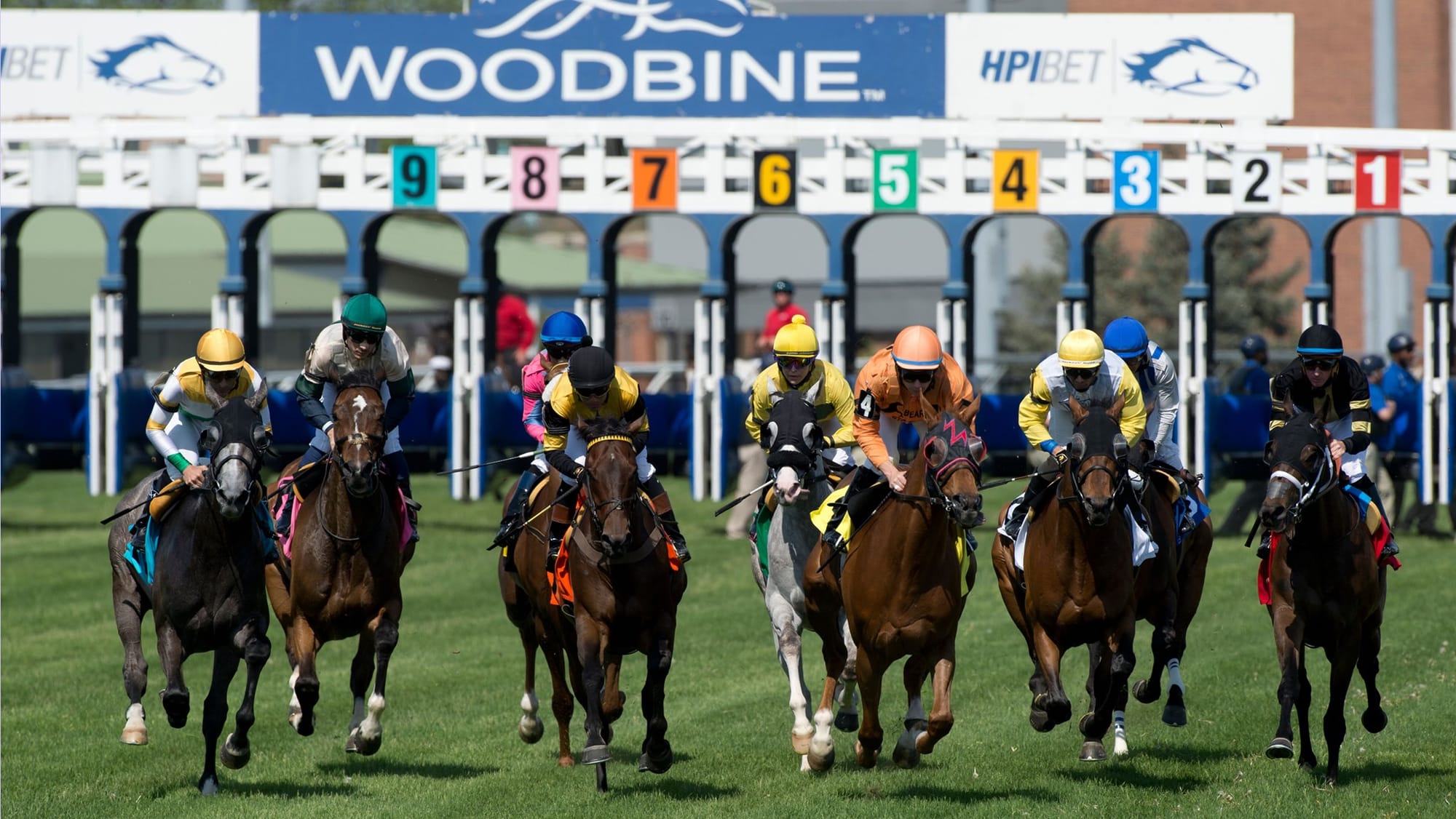 Woodbine