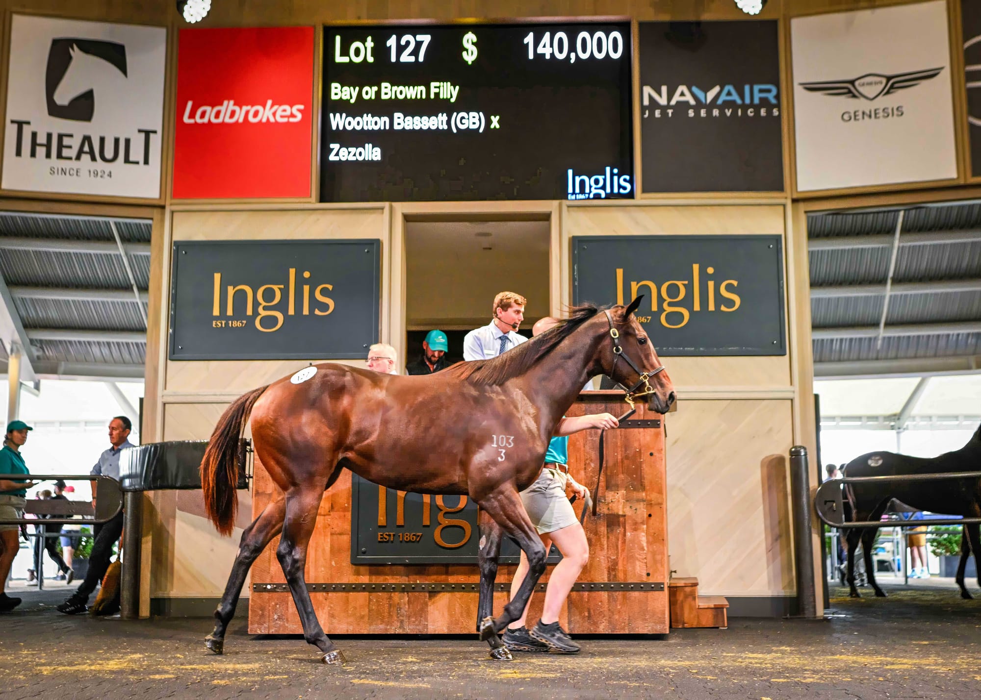 Wootton Bassett filly