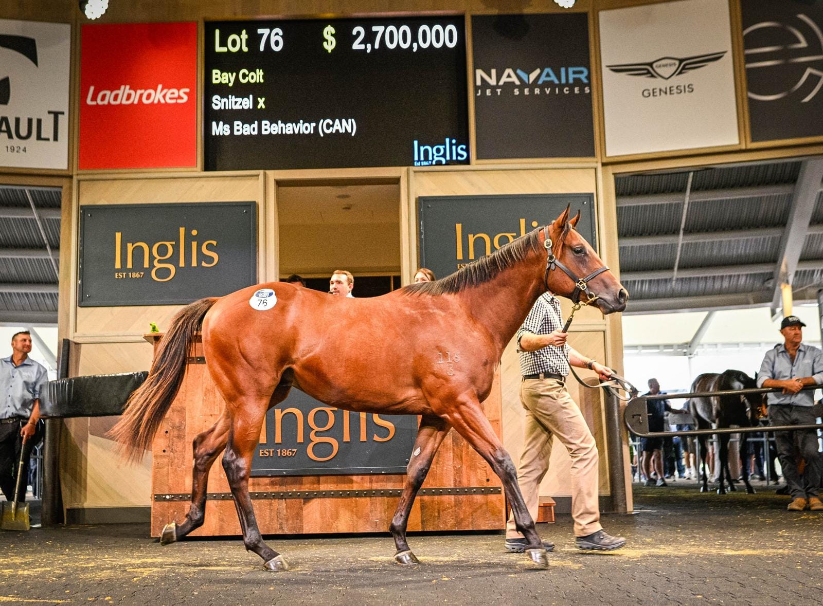 Snitzel x Miss Bad Behavior