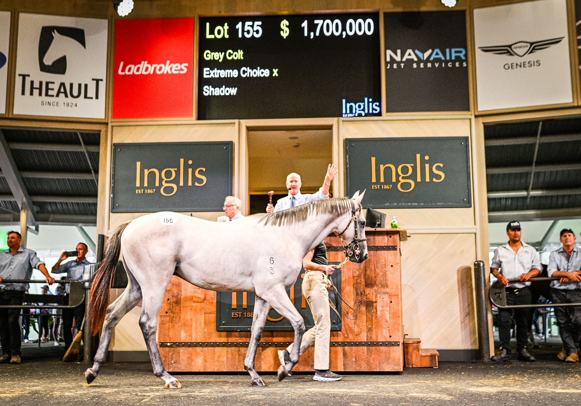 Extreme Choice colt out of Shadow