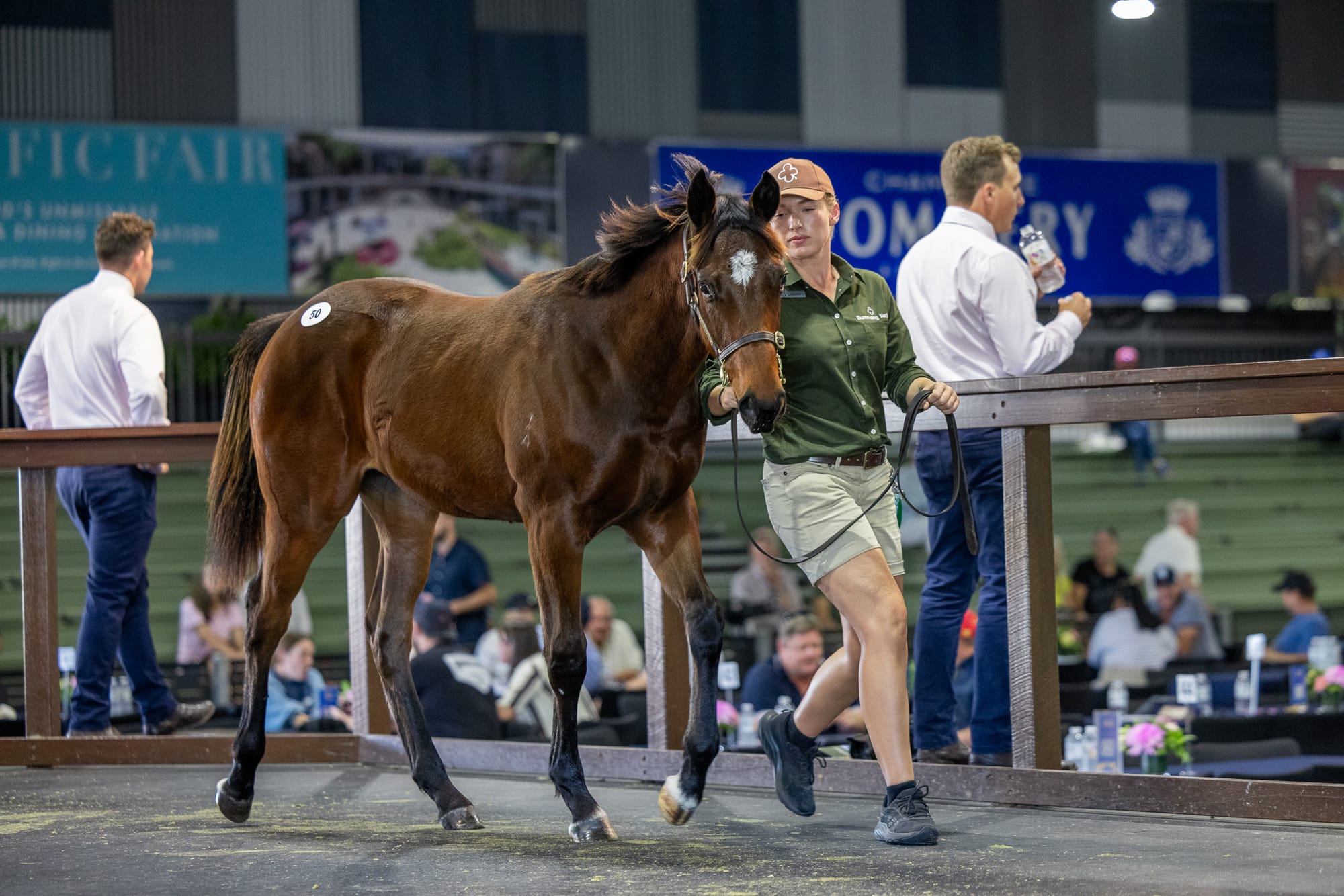 The $320,000 filly by Exceed And Excel
