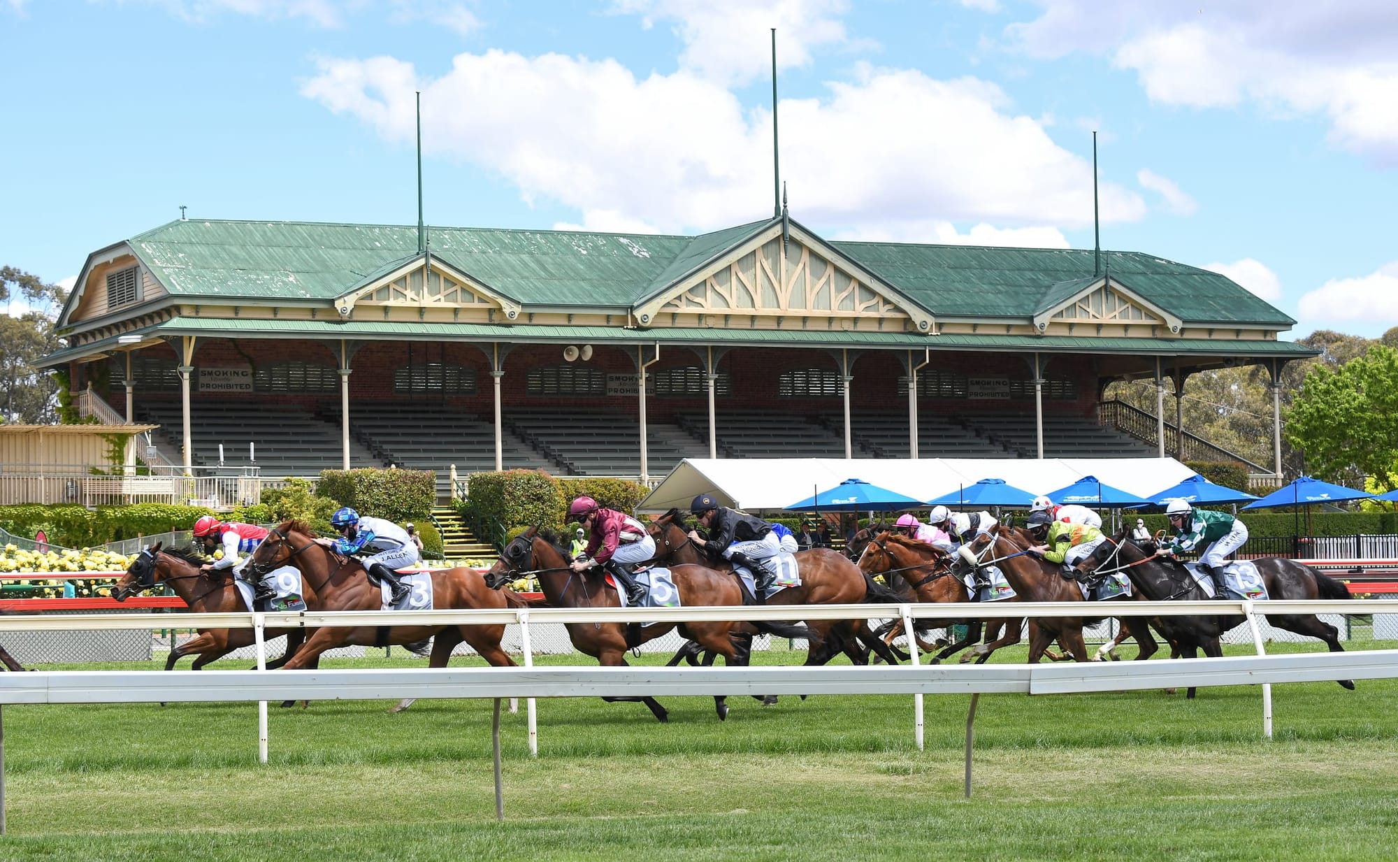 Bendigo Jockey Club has secured a deal with Ladbrokes. (Pat Scala/Racing Photos via Getty Images)