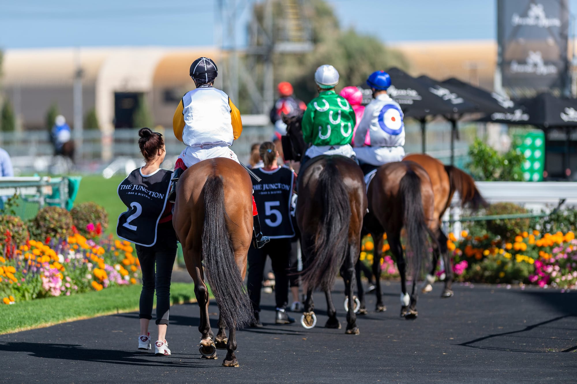 South Australian racing