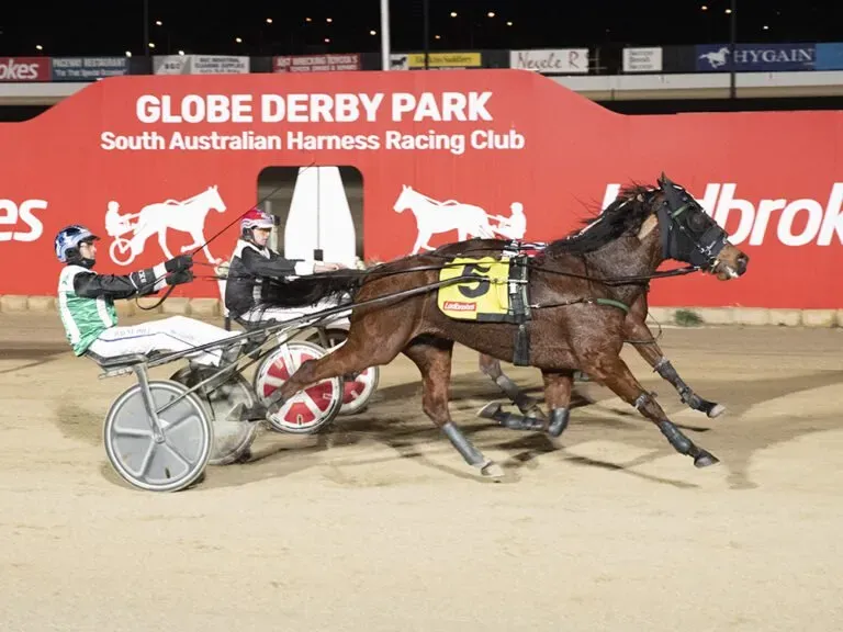 SA Harness Racing