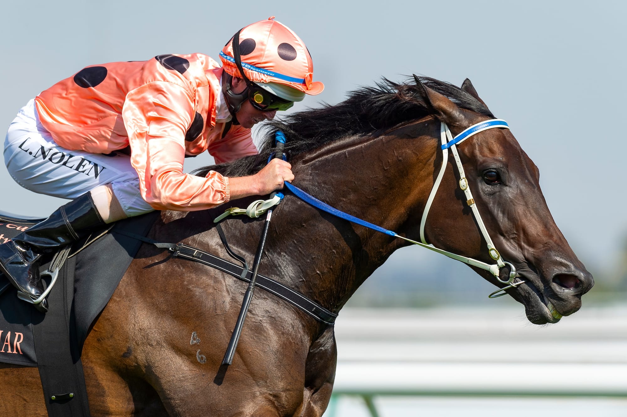 Black Caviar