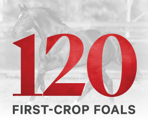 Rowe On Monday - Transatlantic mission accomplished, sky's the limit for Apocalyptic, Gewan delivers in Dewhurst