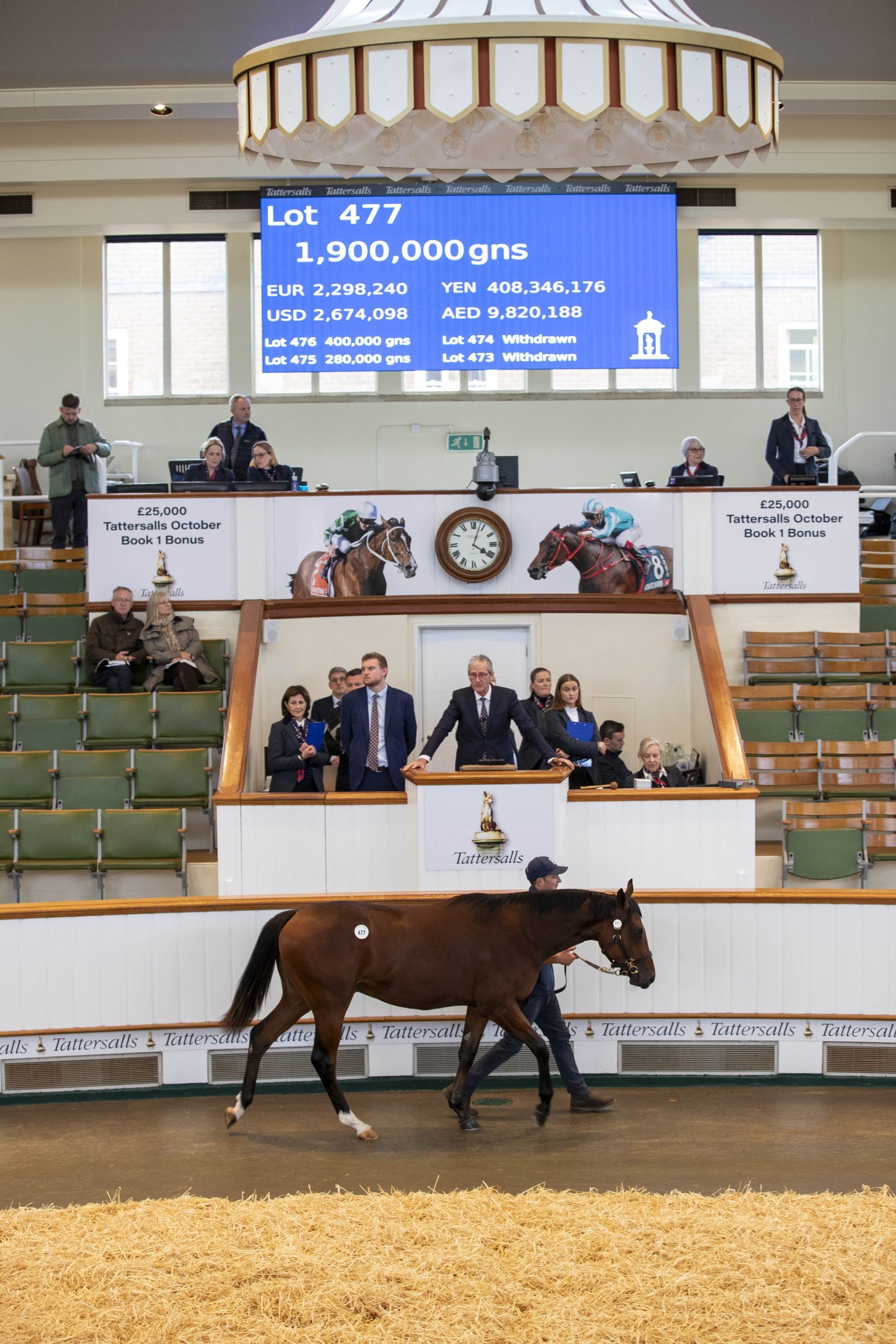 Wootton Bassett colt
