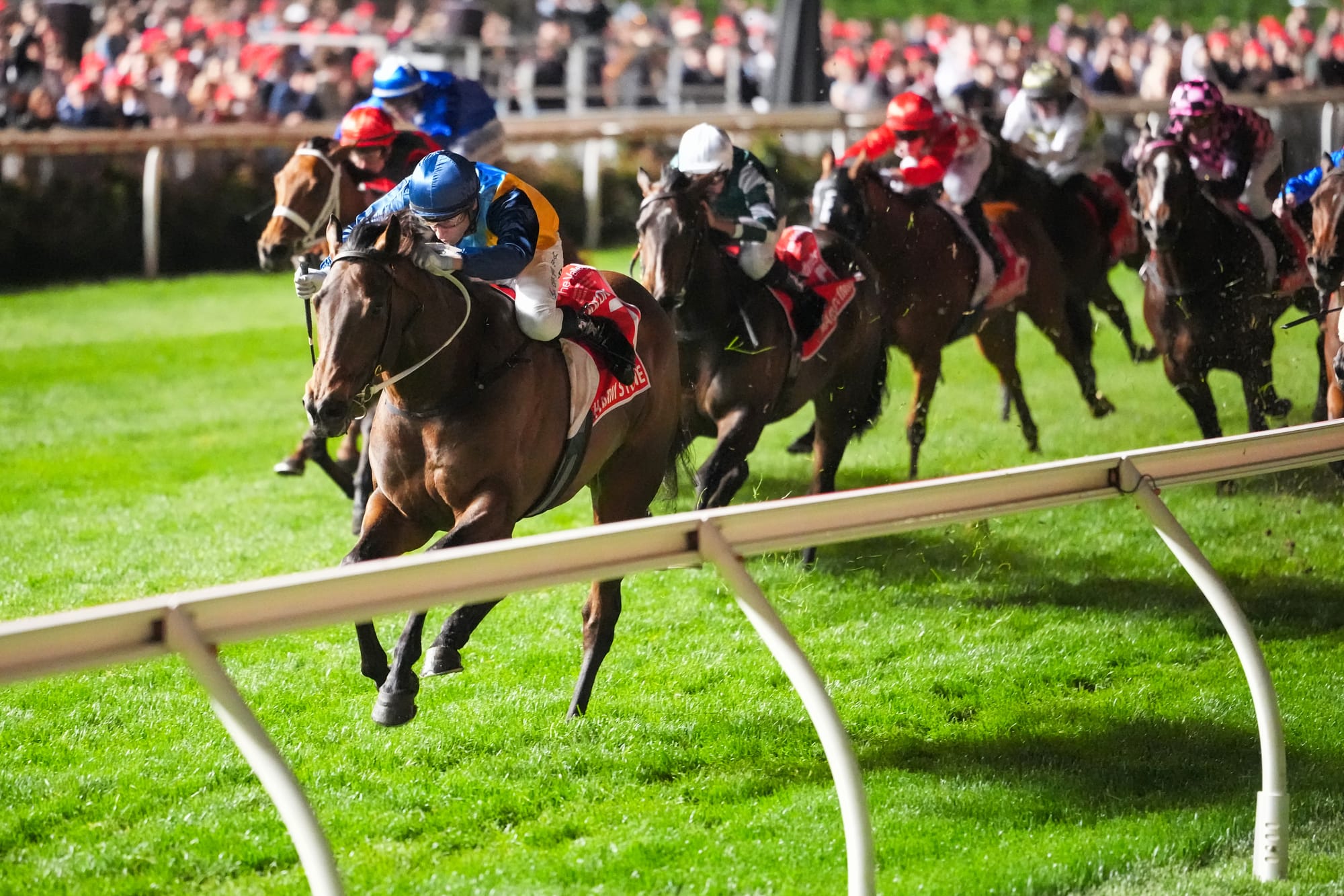 Manikato Stakes winner Charm Stone