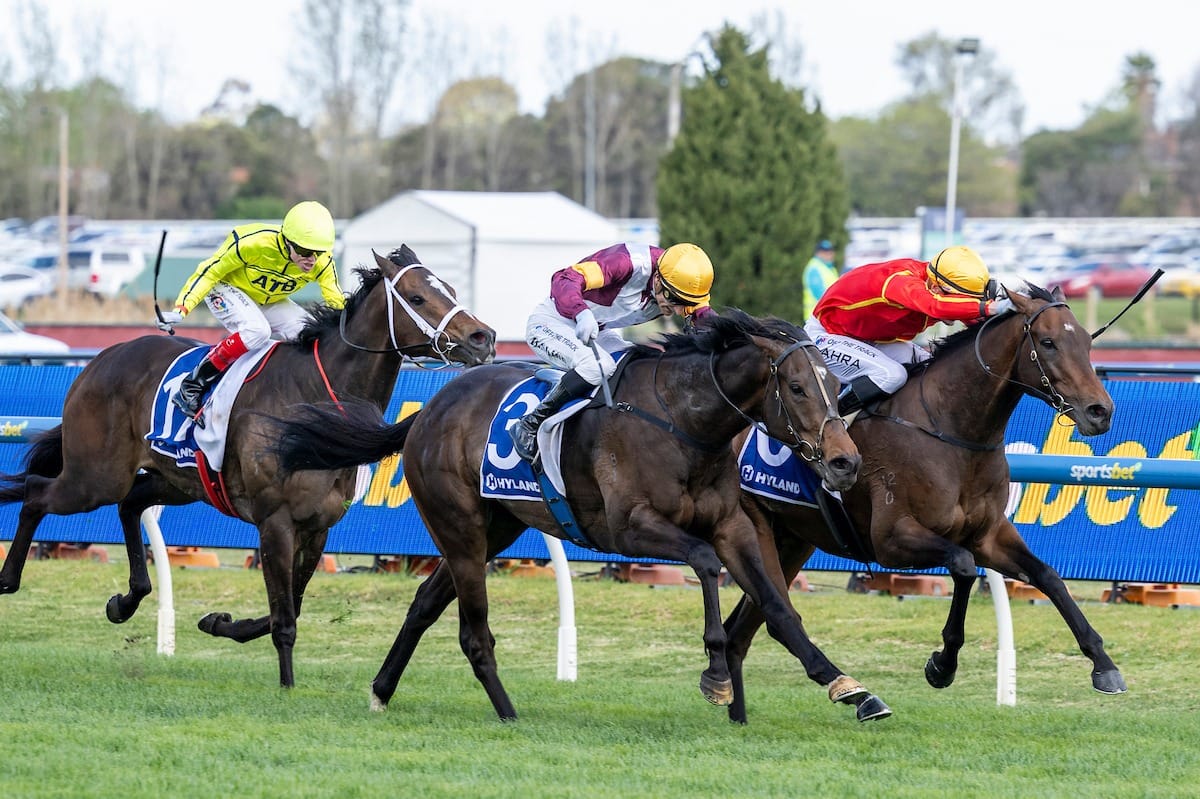 Rowe On Monday - Transatlantic mission accomplished, sky's the limit for Apocalyptic, Gewan delivers in Dewhurst