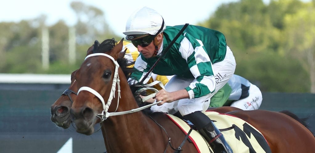 Yulong rising - How an emerging  global behemoth is shaking-up Australia's thoroughbred industry