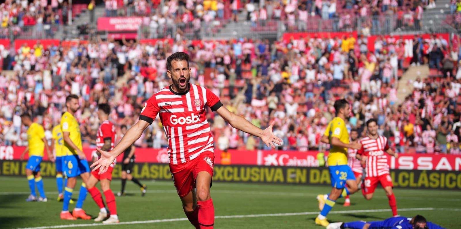 Irish hurling, US elections and minor Euro football leagues - all in a day’s work for NT betting regulator