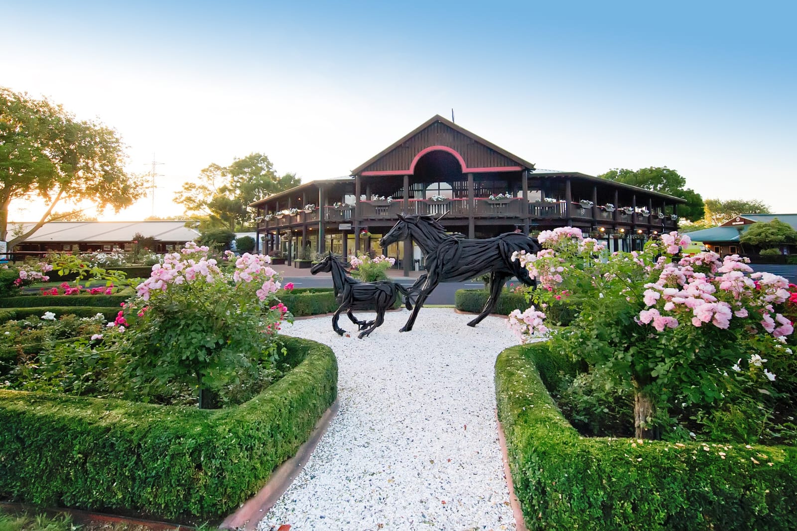 NZB Kiwi slot auction tops $6 million