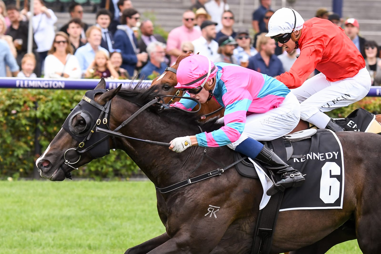 How an Australian Guineas-winning colt found a home on a Victorian wheat and sheep farm