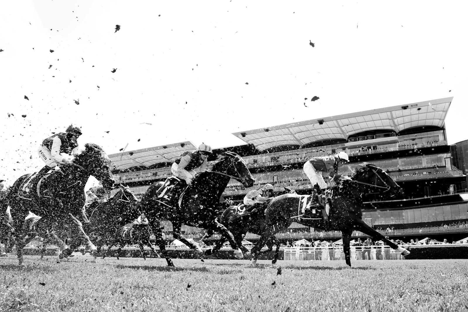 Provincial qualifiers to further sour Big Dance for country-trained horses