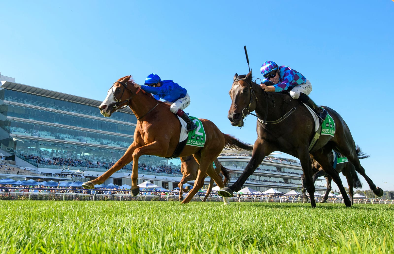 Run The Numbers – March G1 treble ends Cummings’ summer of struggle