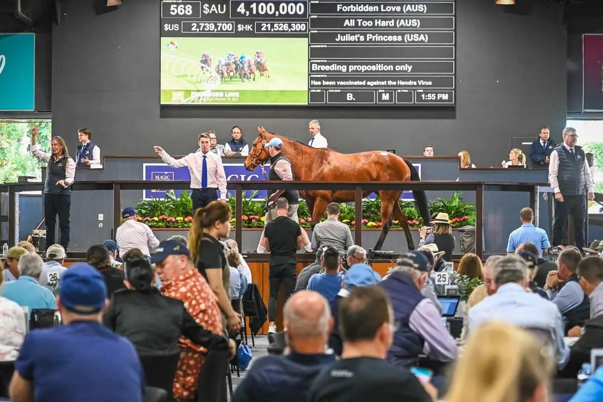 Boom or bubble – Will Australia’s bullish broodmare market bust?