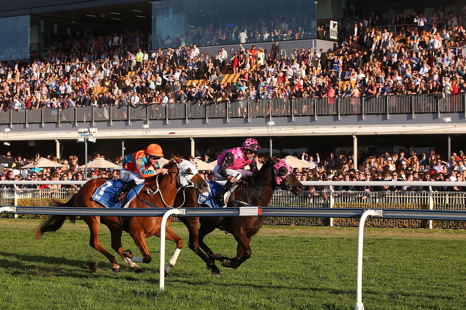 ‘Sun on their backs’ - how the Queensland sunshine energises Australia's next stars