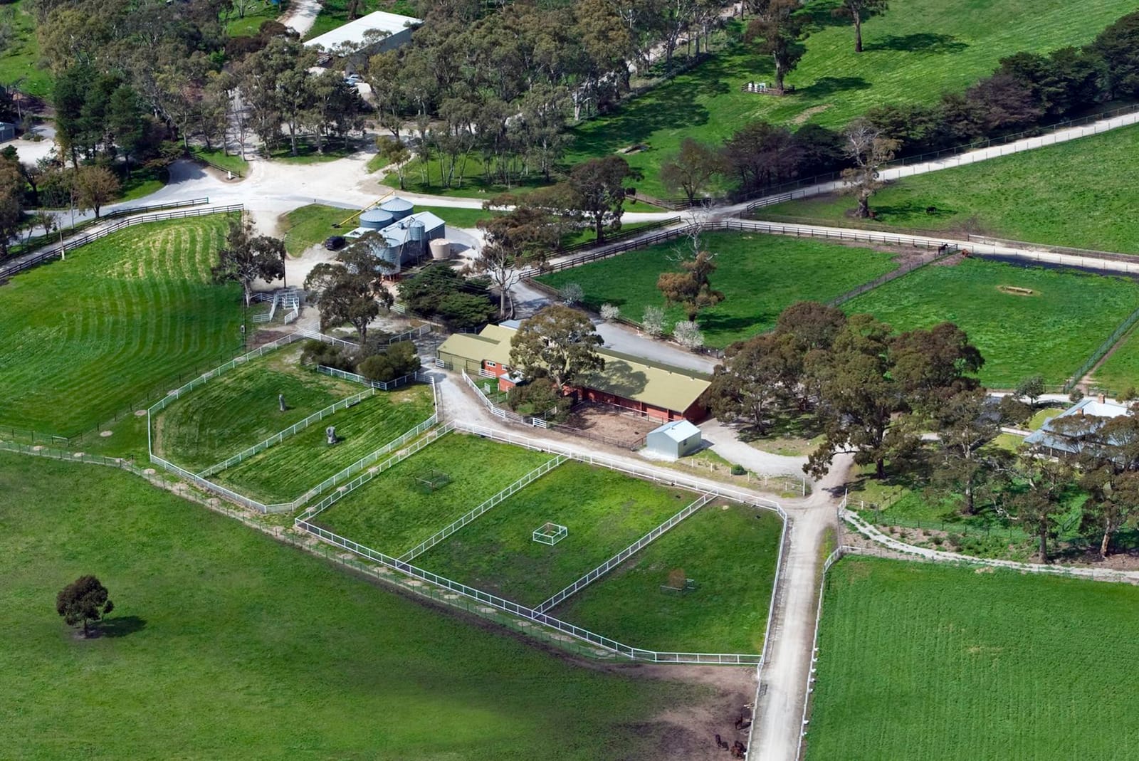 Silkie bantams and bold ambition – Lindsay Park all part of Bain’s big plans