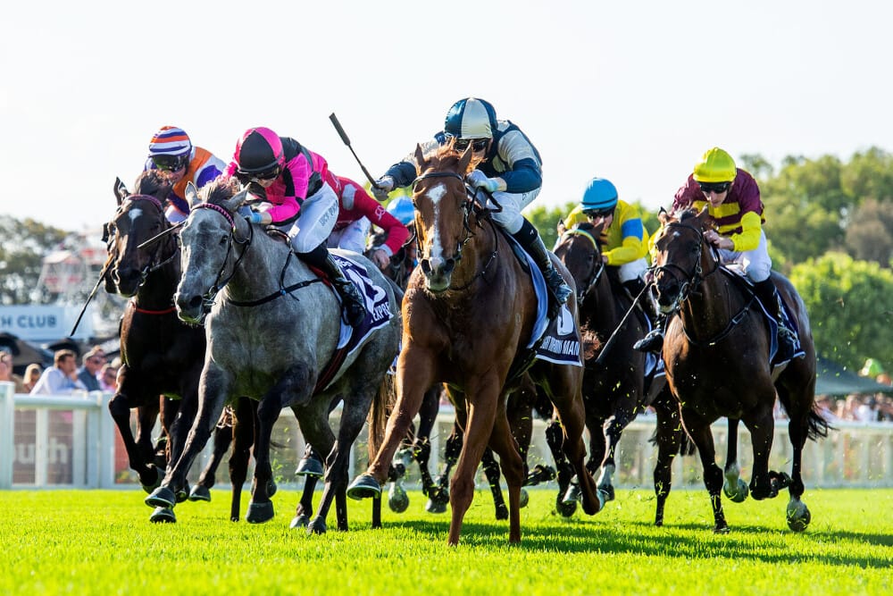 Light work as Brown and Maher conquer Northerly