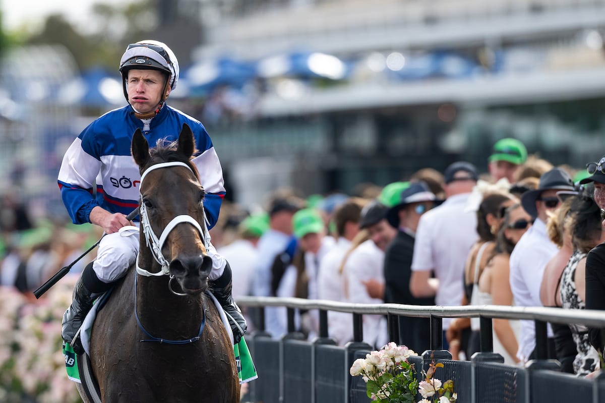 Straight Shorts - Thursday March 27 - Atishu for MM National Broodmare Sale, busy season for Noverre, latest Straight Talk podcast, Te Akau runners dominate Sires'