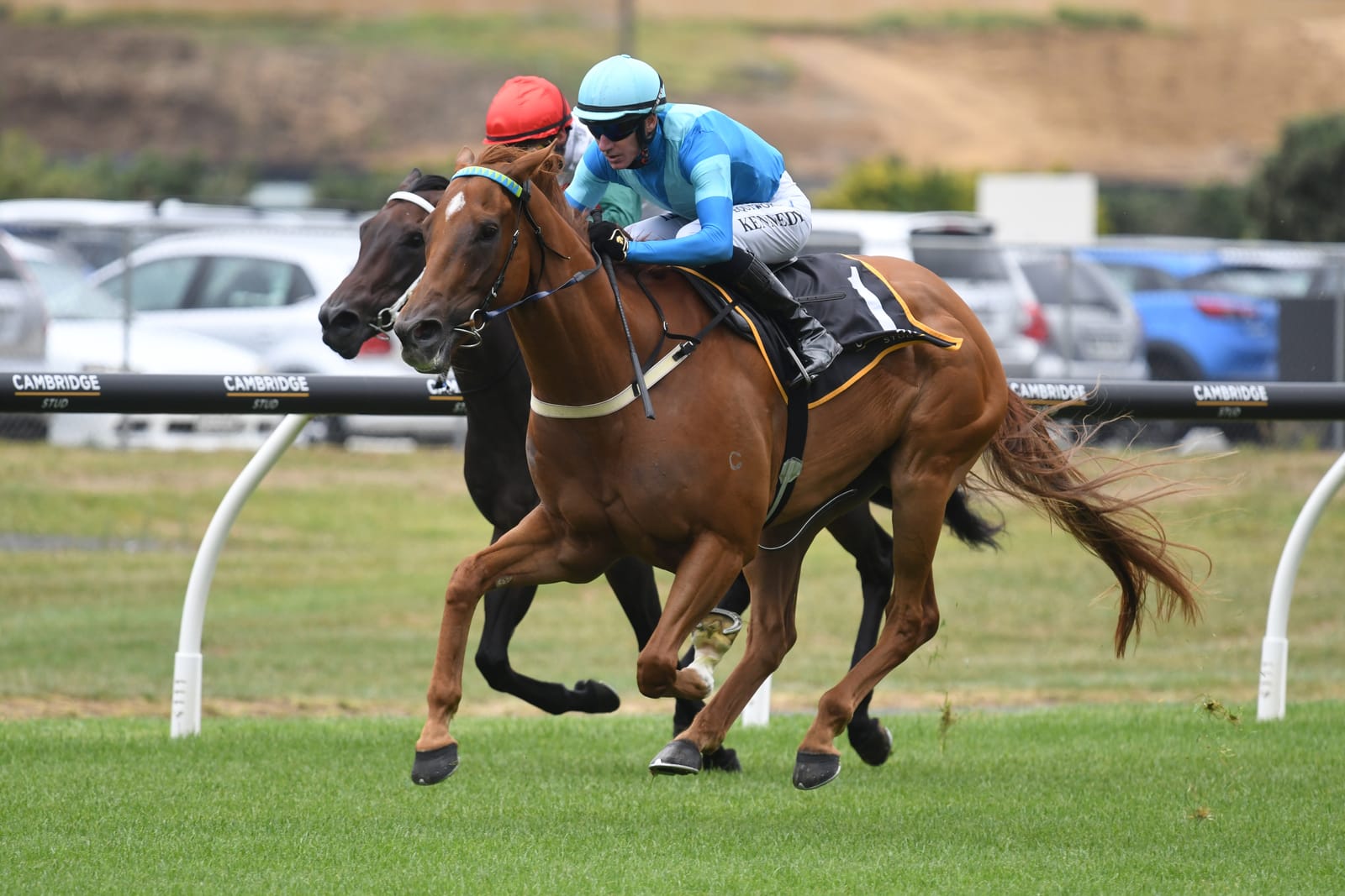 Straight Shorts - Wednesday March 26 - Quokka berth for NZ sprinter, more success for Farnan, Griff to stand at Larneuk, Surround Stakes winner retired