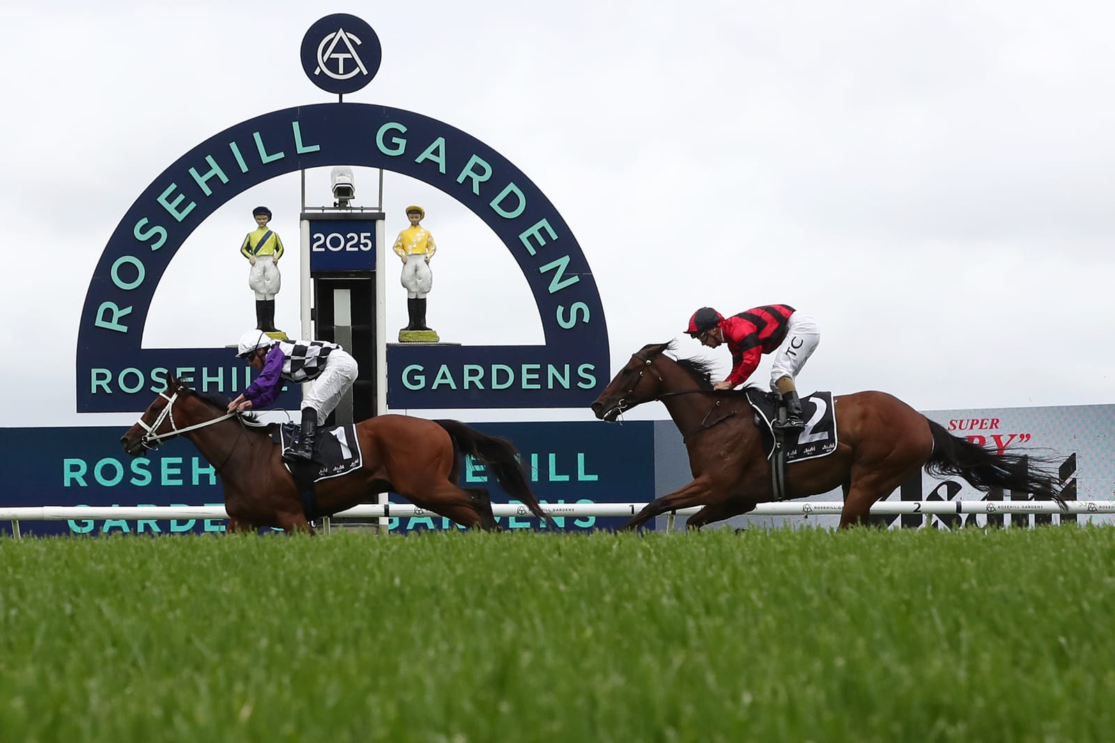 Racing NSW orders ATC to delay Rosehill vote