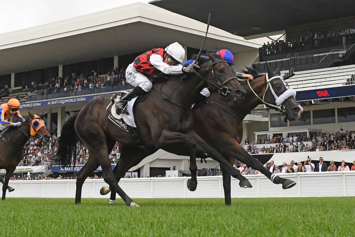 La Crique reprises a Tancred formula from a previous era