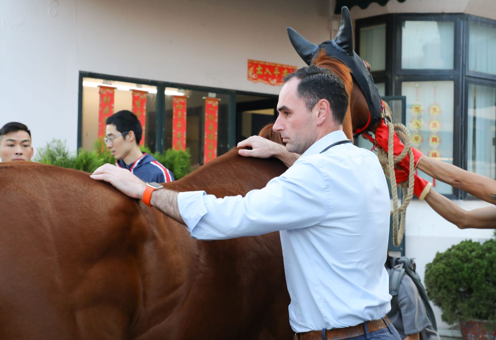 ‘Failed the vet’ - Hong Kong Jockey Club seeks to remedy ’unfair’ reputation for rejecting imports