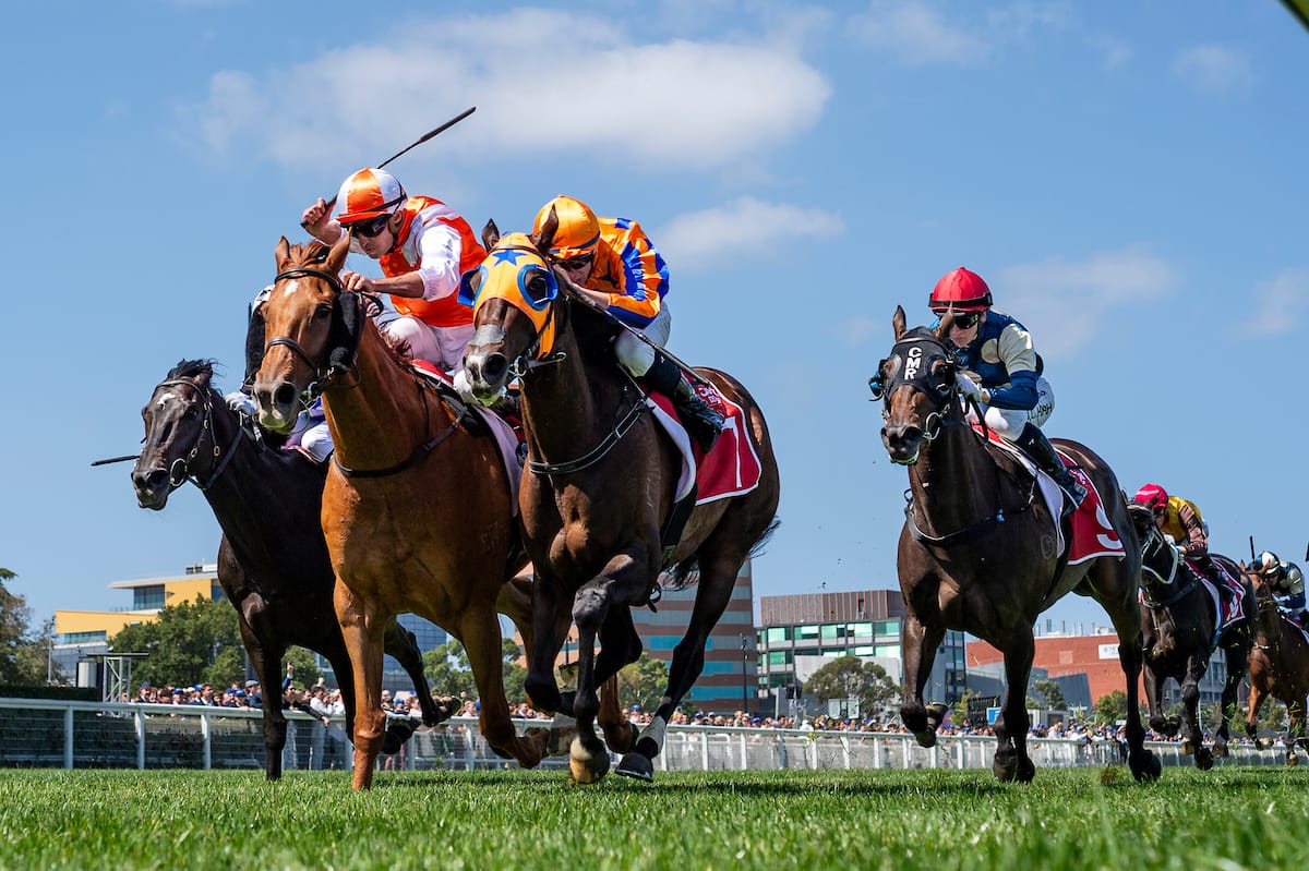 Less taxing - Magic Millions launches international angle for in absentia mares at National Sale