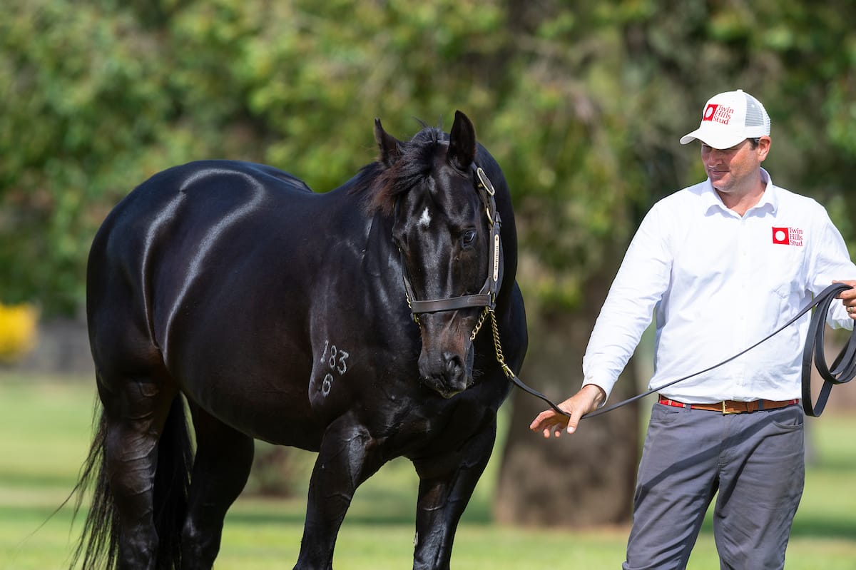 Straight Shorts - Wednesday April 23 - Twin Hills retires Denman, sponsorship milestone looms for BRC, Irish punter denied huge payout, a new winner for Street Boss