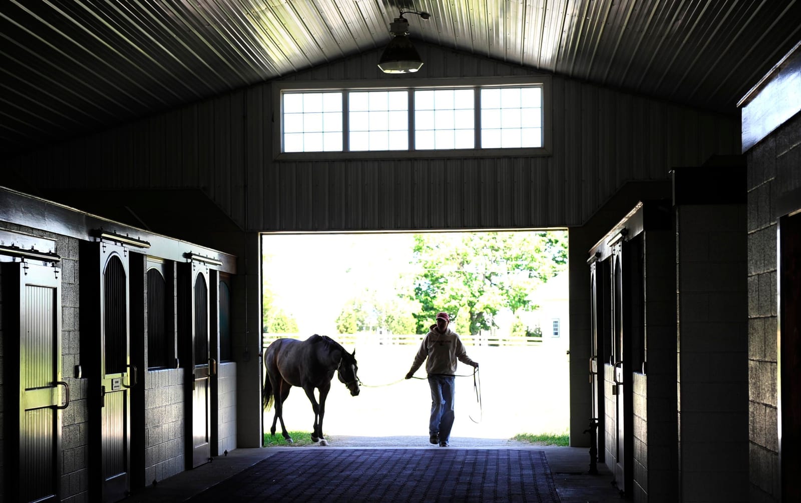 2025 Stallion Fees - Latest