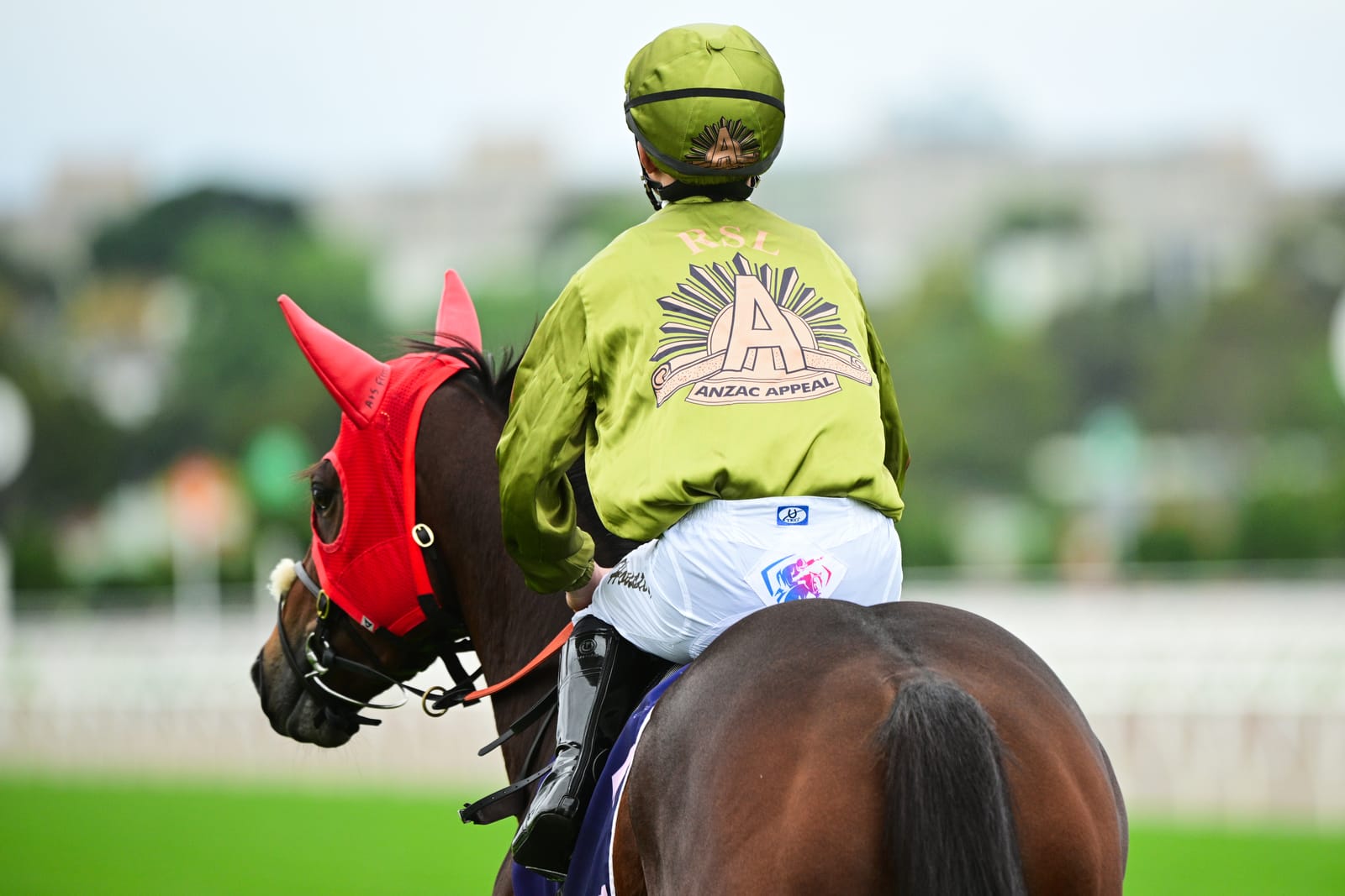 Public liability? - The changing face of holiday racing in Australia