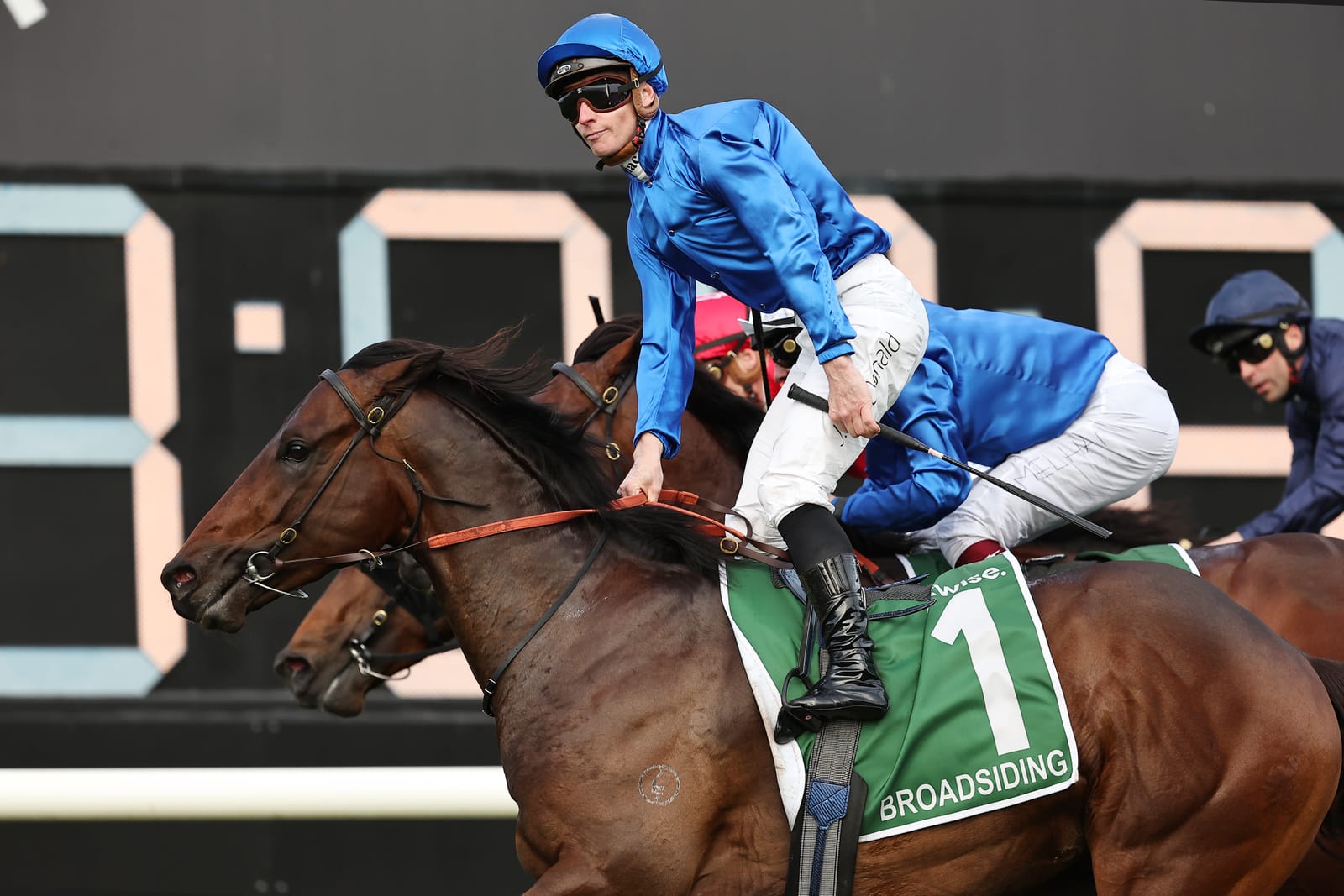 New guard for Darley - Top Godolphin colts join breeding giant's NSW roster