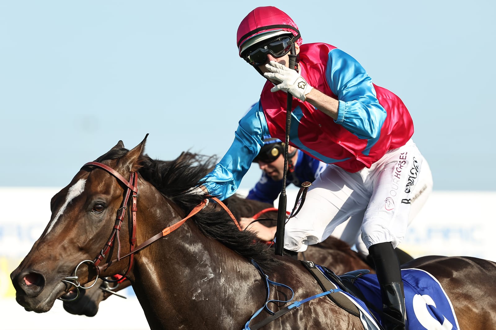 Straight Shorts - Monday April 7 - Headwall for Quokka, Royal Patronage to HK, Waller caution over Aeilana spring, Purdon trains first gallops winner