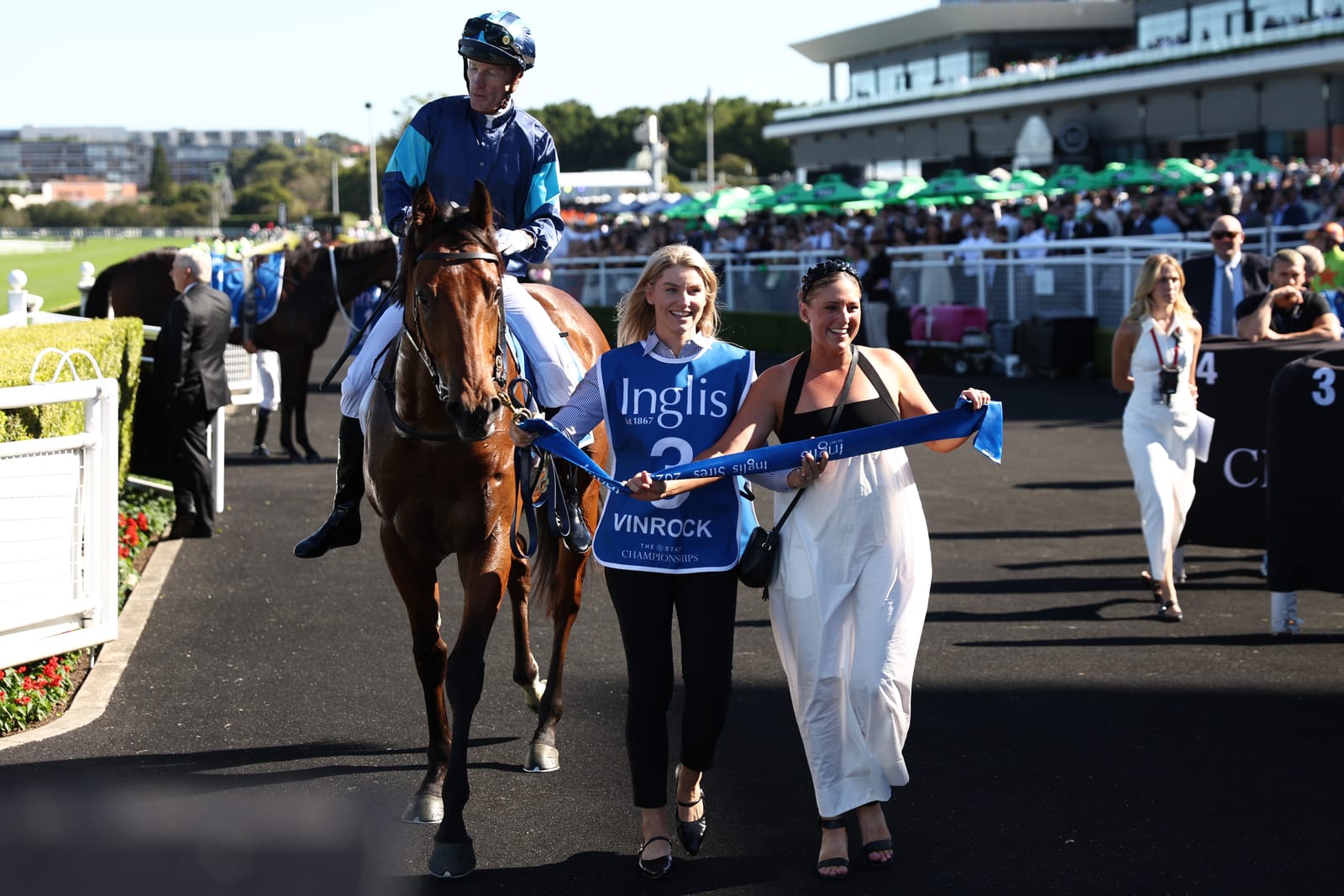 ‘He’s a ripping colt’ - Yulong snaps up Laurie’s Group 1 winner Vinrock