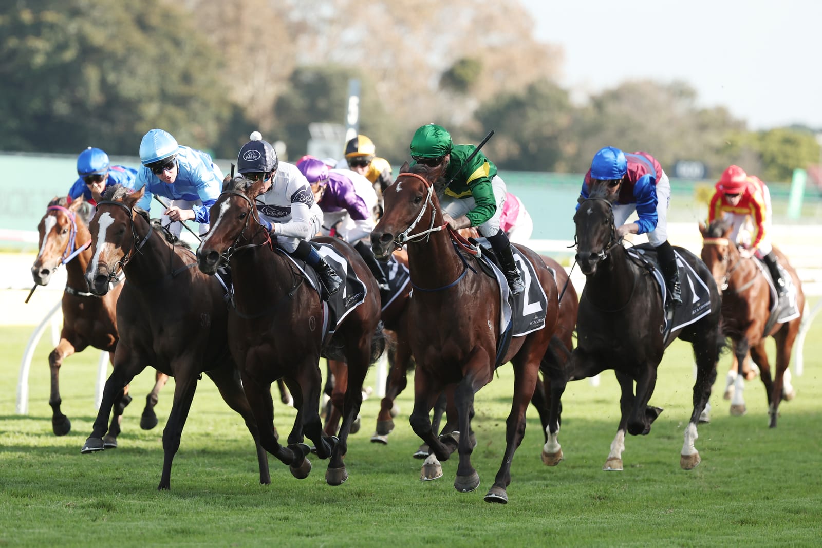 Run The Numbers – A family first for Nepotism