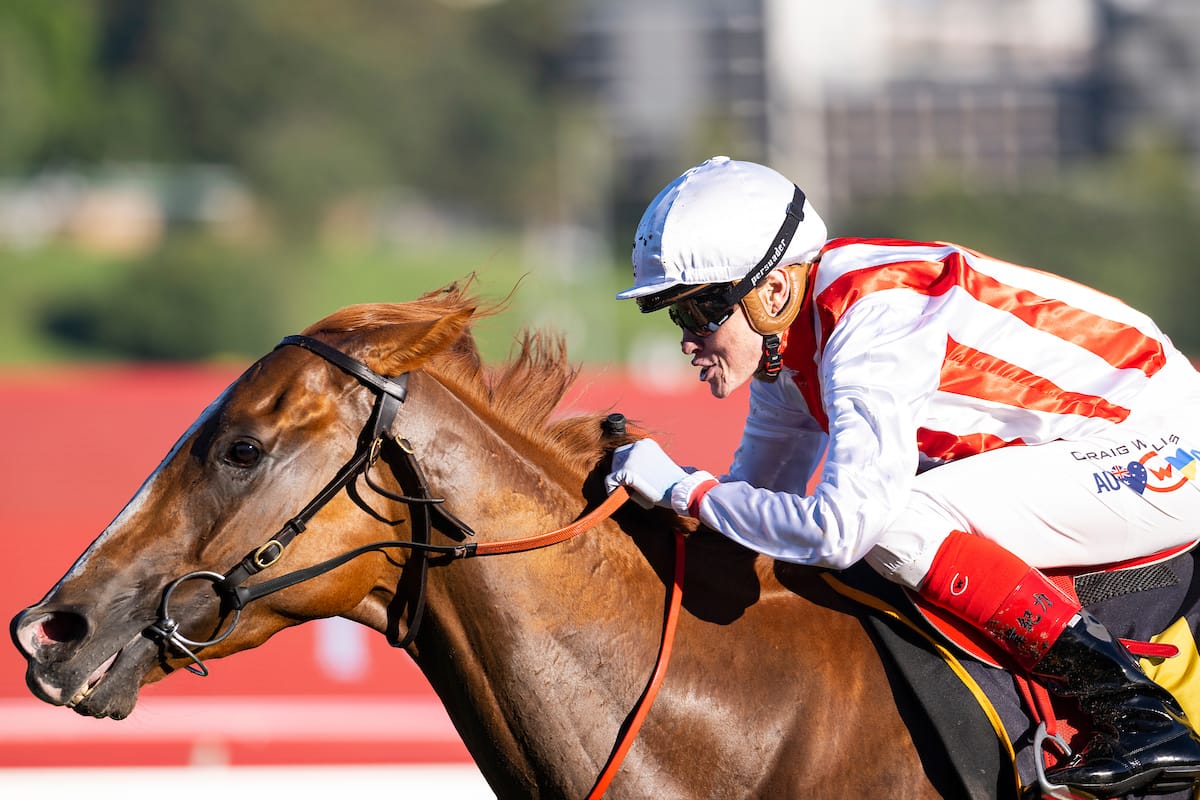 Straight Shorts - Wednesday April 16 - Ole Kirk in box seat for first-season honours, Saudi Arabia to host ARC, change of plans for Giga Kick, UK breeze-up record