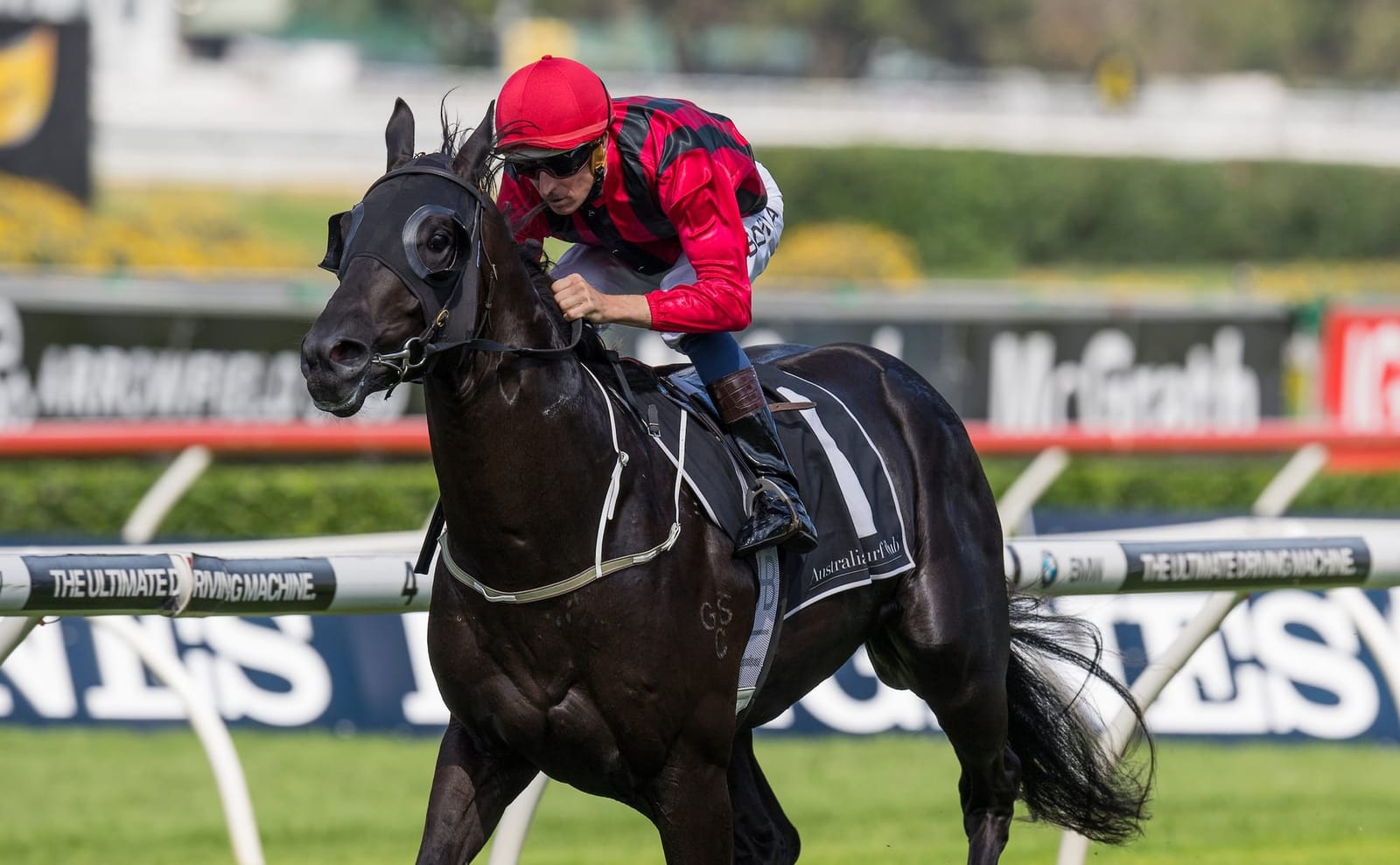 Straight Shorts - Thursday April 24 - Prized return, vale Happy Clapper, Asfoora stretched, Churchill Downs development paused