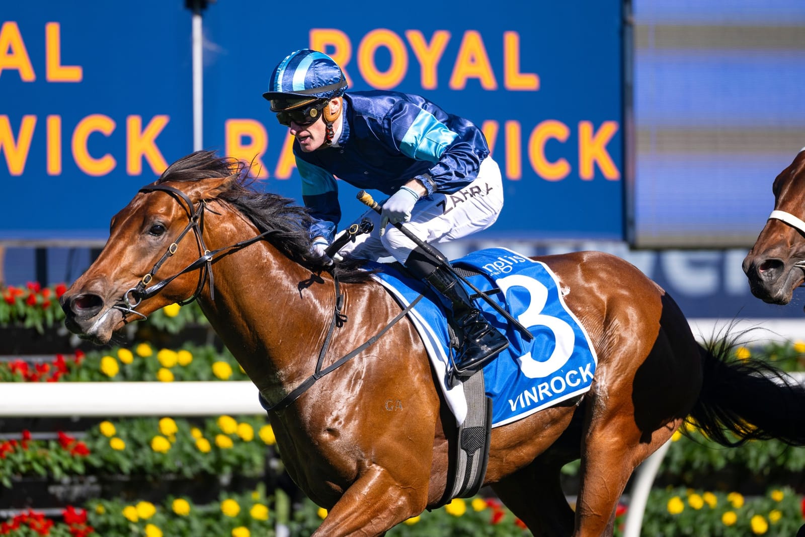 ‘The horse sells himself’ - Laurie in the driver’s seat as offers flow for unbeaten Vinrock