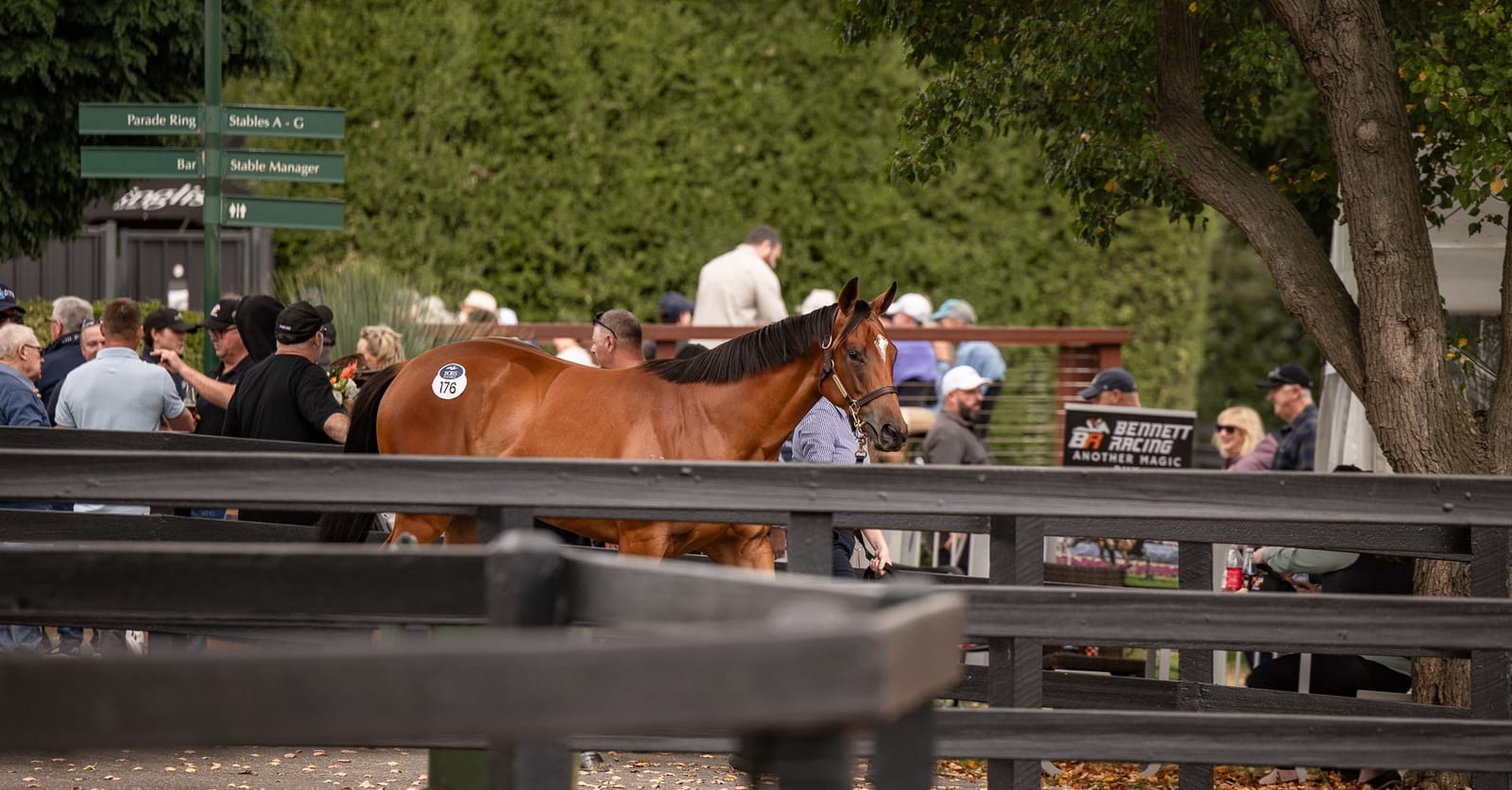 Run The Numbers - The Victorian question