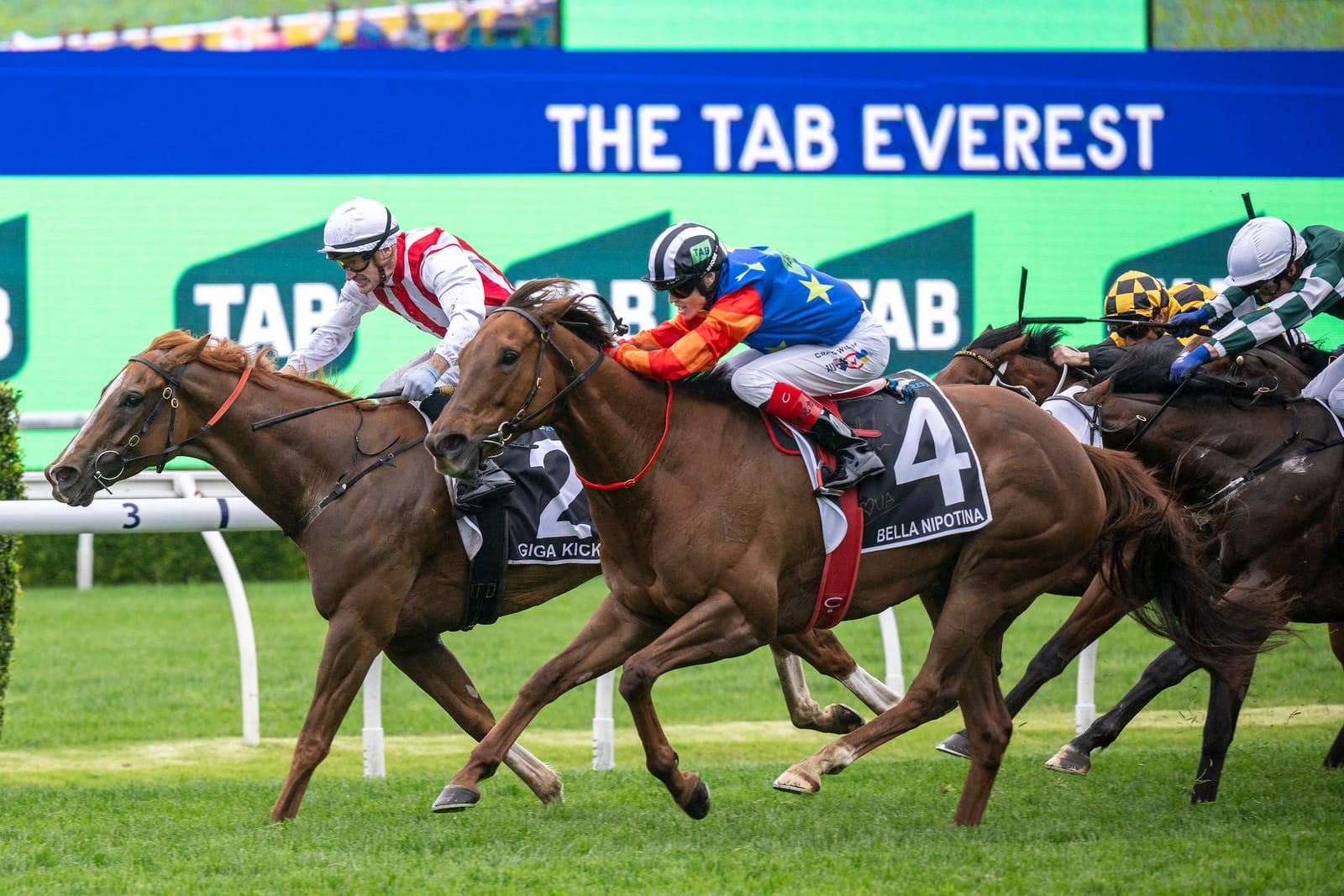 Bella Nipotina or Amelia’s Jewel to rule Chairman’s Sale