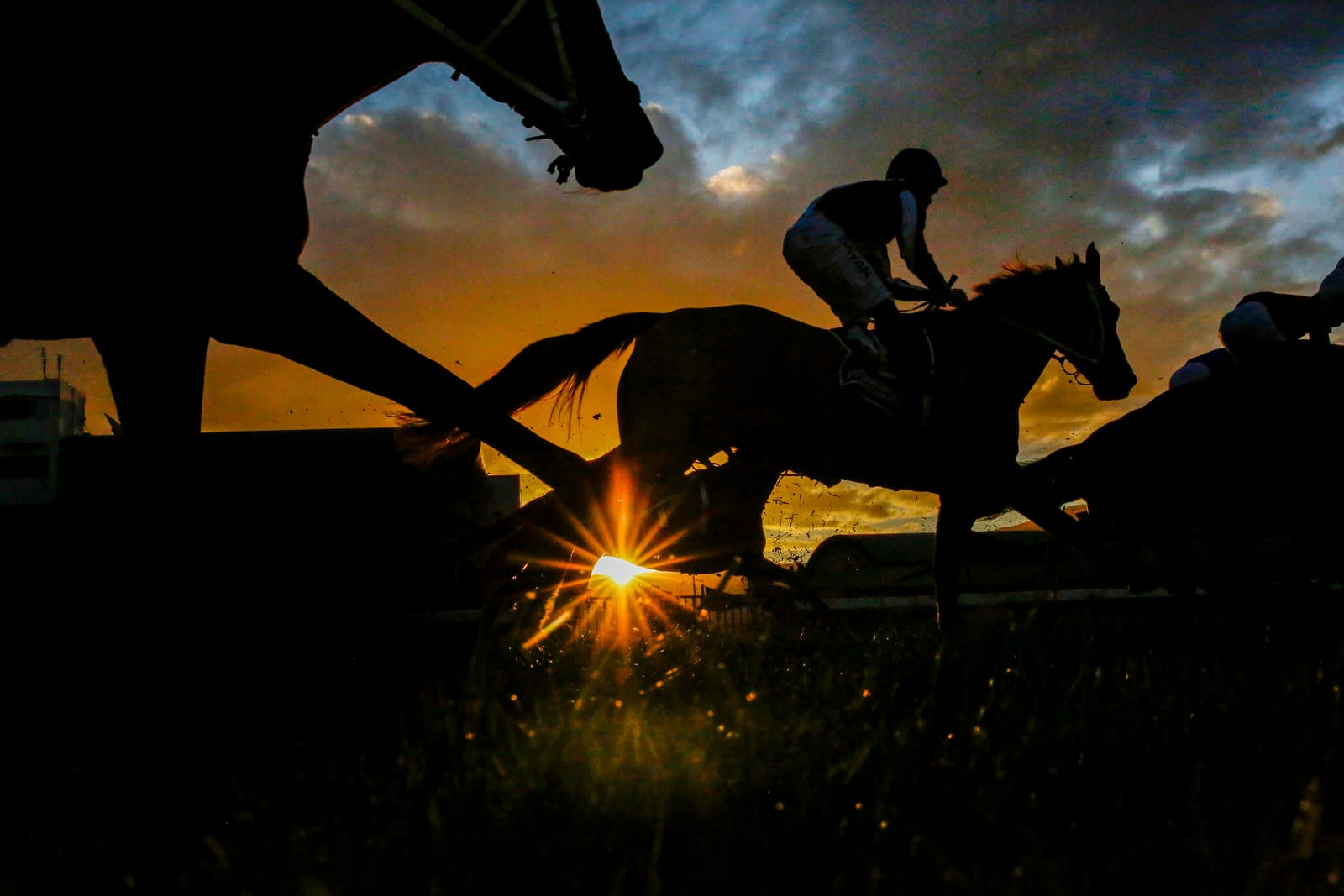 A taxing process - Racing NSW demands proof of financial viability from trainers