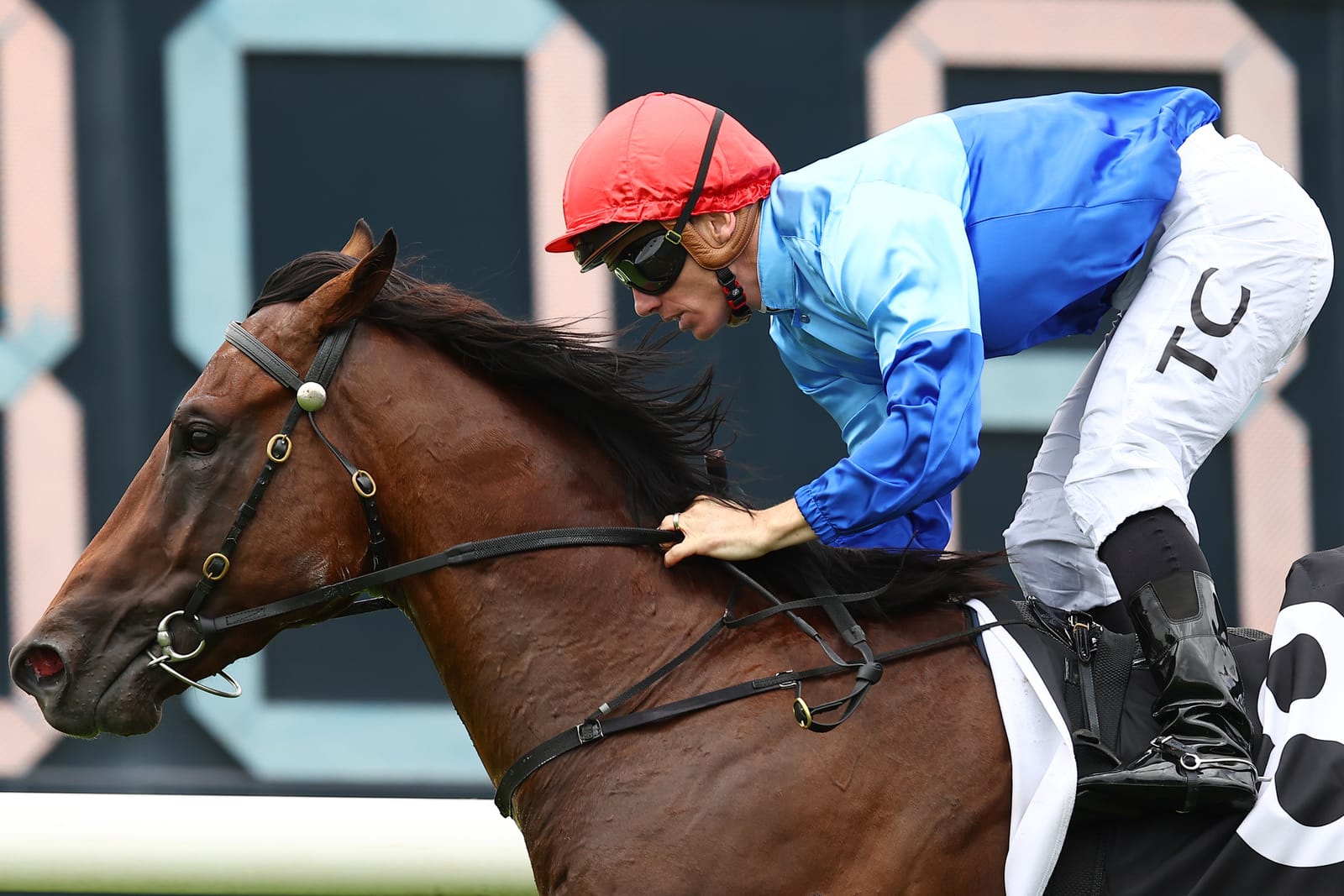 Straight Shorts - Tuesday May 13 - Prost to stand at Aquis, Schick family statement, HKJC targets younger demographic, Kiwi filly after Qld Oaks start