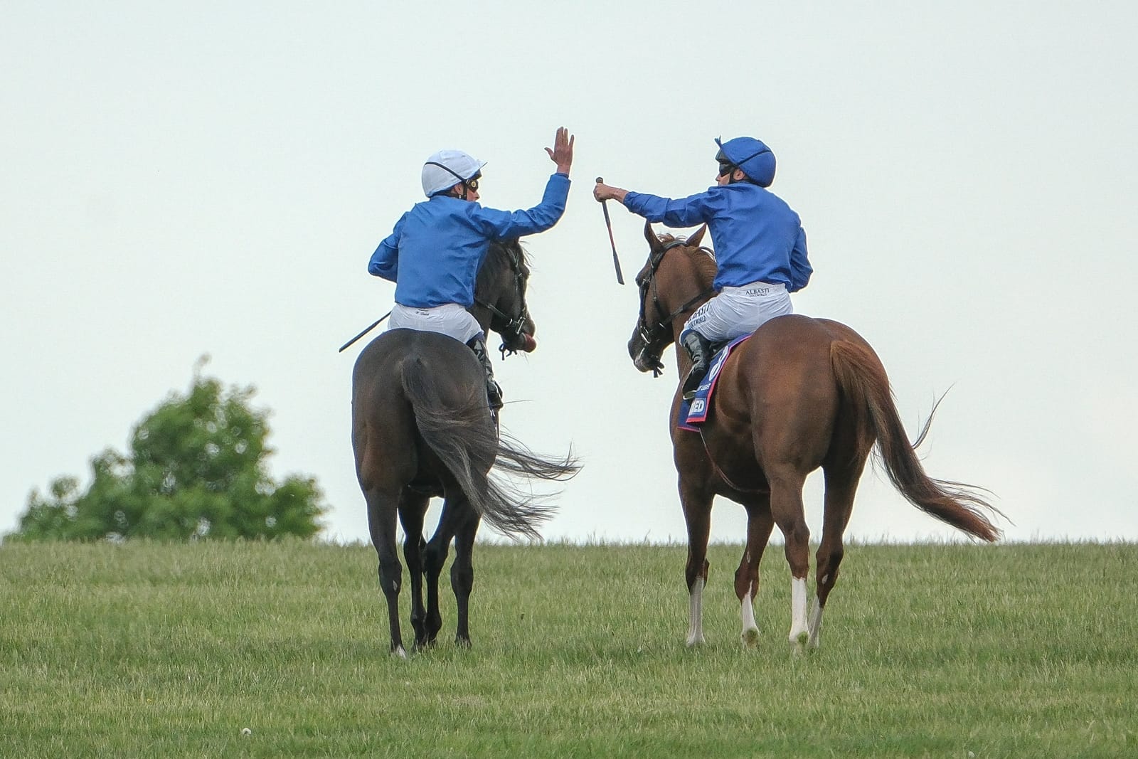 Run The Numbers – Blue blitz – How Godolphin conquered the world