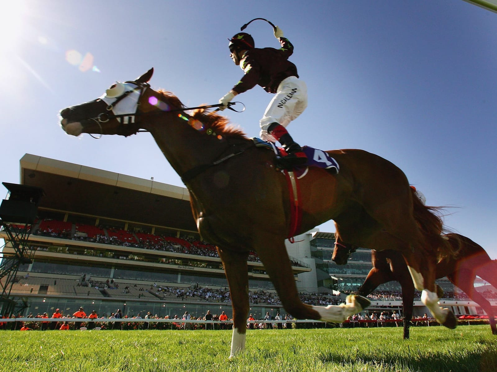 The King and the chaos - Noel Callow on still having a crack