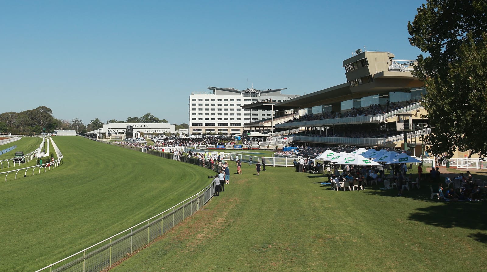 Ugly duckling becomes central to ATC selling its golden goose